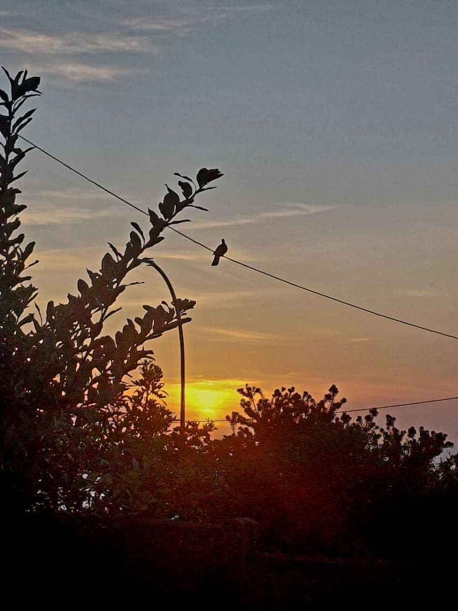 5 Bedroom Property for Sale in Dana Bay Western Cape